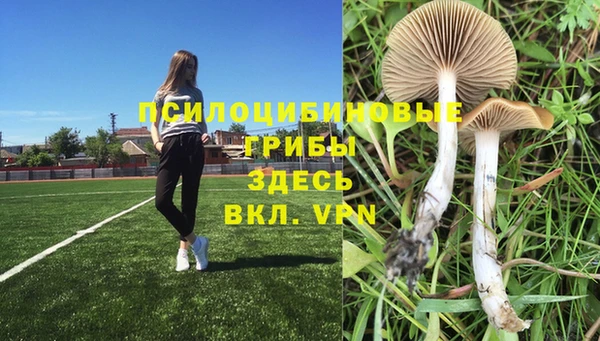 Альфа ПВП Белокуриха