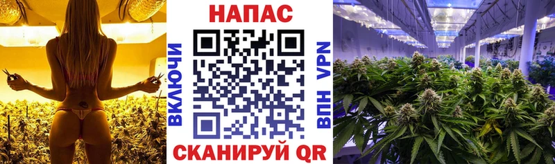 Канабис LSD WEED  закладки  гидра ONION  Облучье 